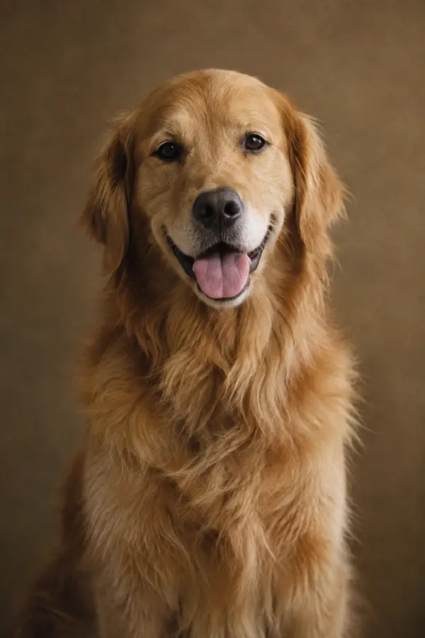 The one who turns